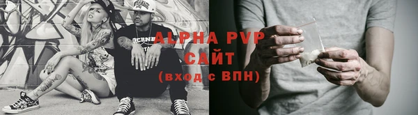 амф Верея