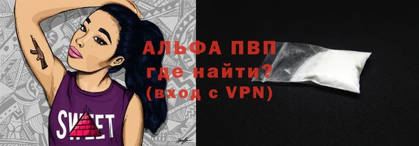 амф Верея