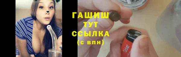 амф Верея