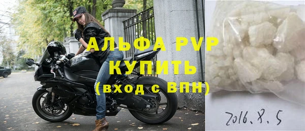 амф Верея