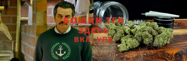 амф Верея