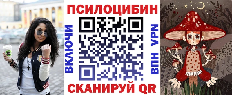 мега ссылки  цены наркотик  Орск  Псилоцибиновые грибы Magic Shrooms 